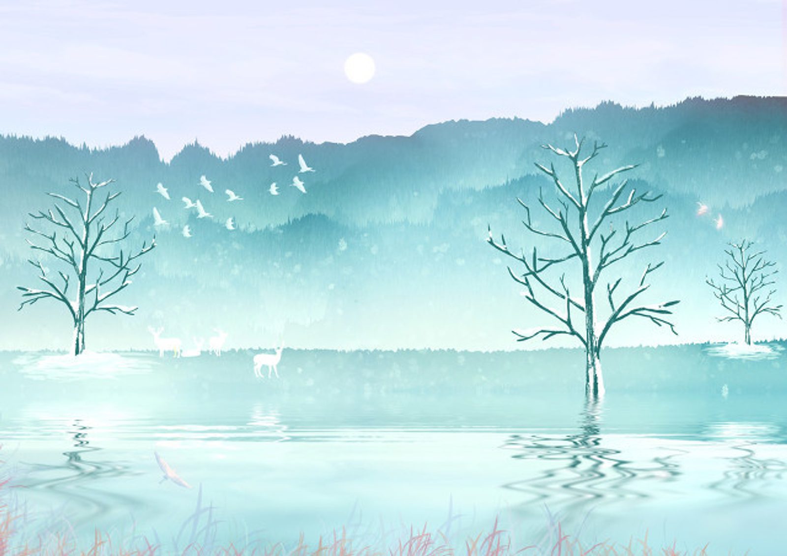 Cover Image of the Post